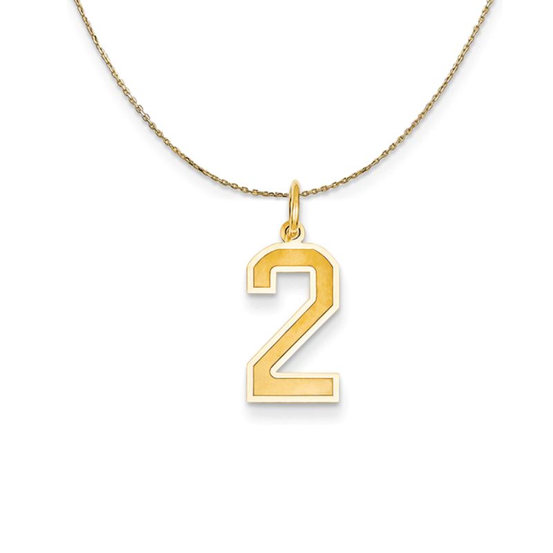 14k Yellow Gold, Jersey, Med Number 2 Necklace - 22 Inch